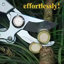 Bypass Secateurs