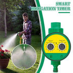 Electronic Irrigation Timer